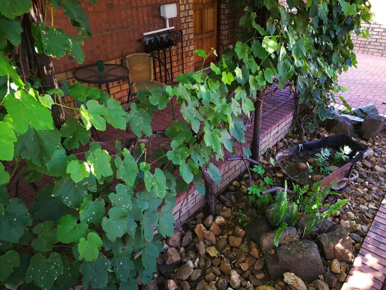 Ridderspoor Guesthouse มิดเดิลเบิร์ก ภายนอก รูปภาพ